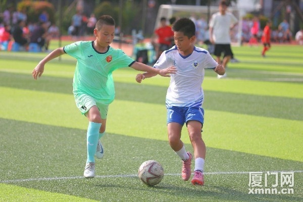 属学校已是, bt 属学校已是, bt